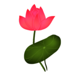 荷花元素