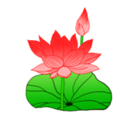 荷花元素