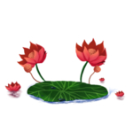 荷花元素