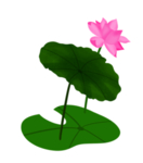 荷花元素
