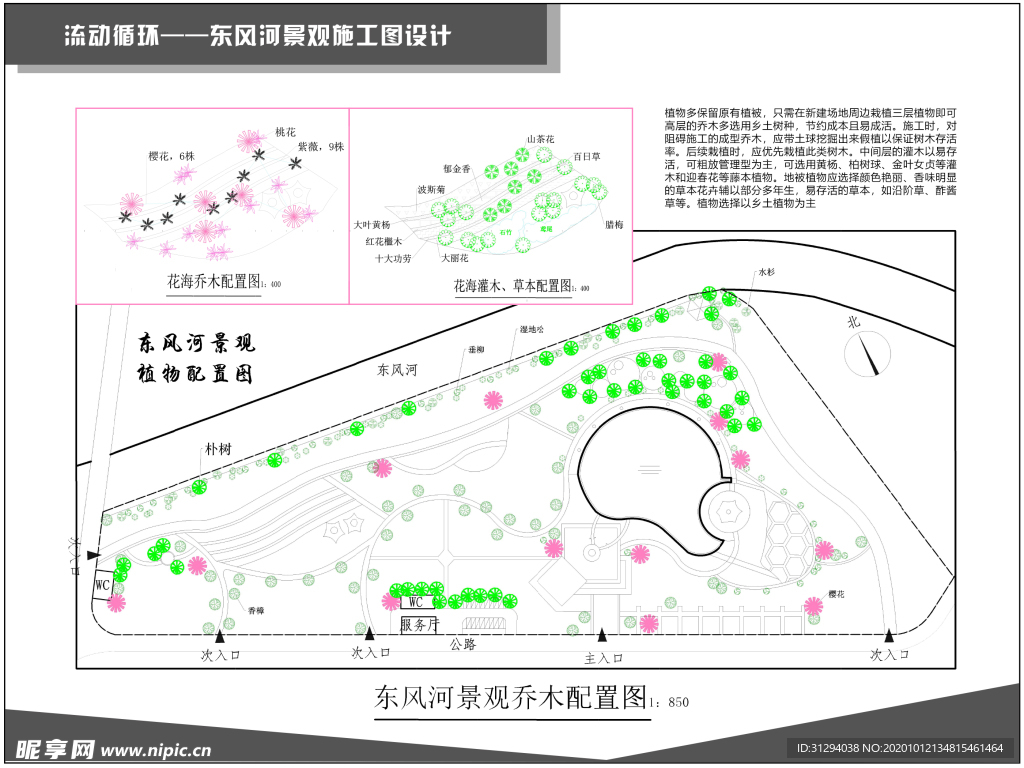 植物配置图