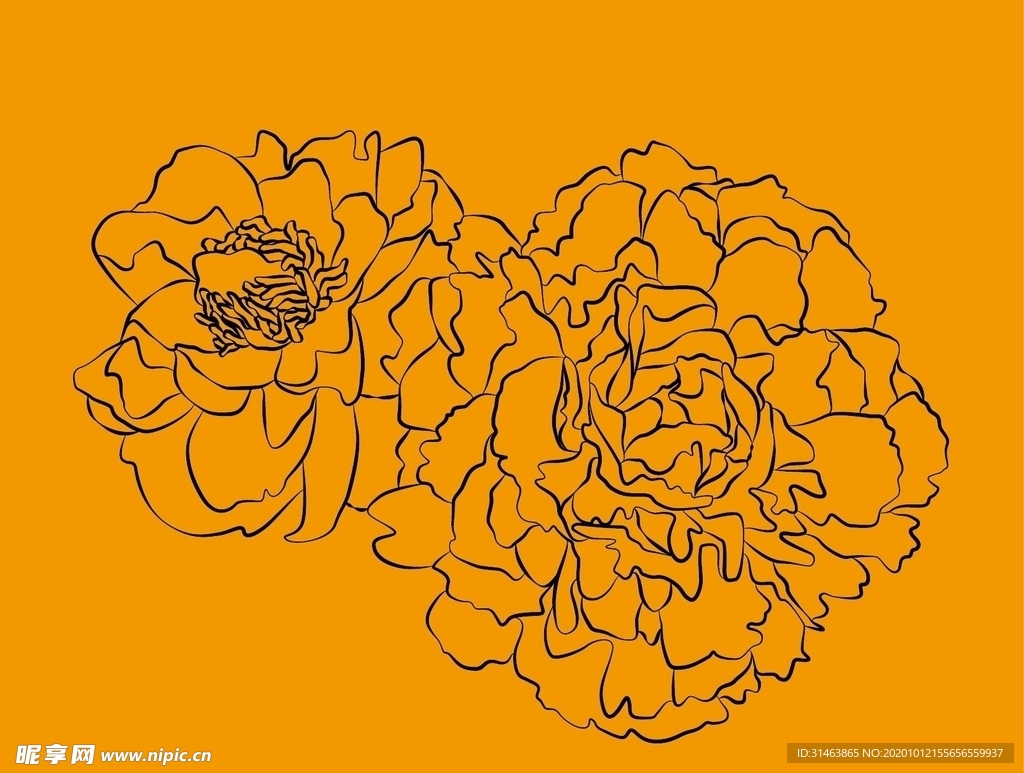 芍药