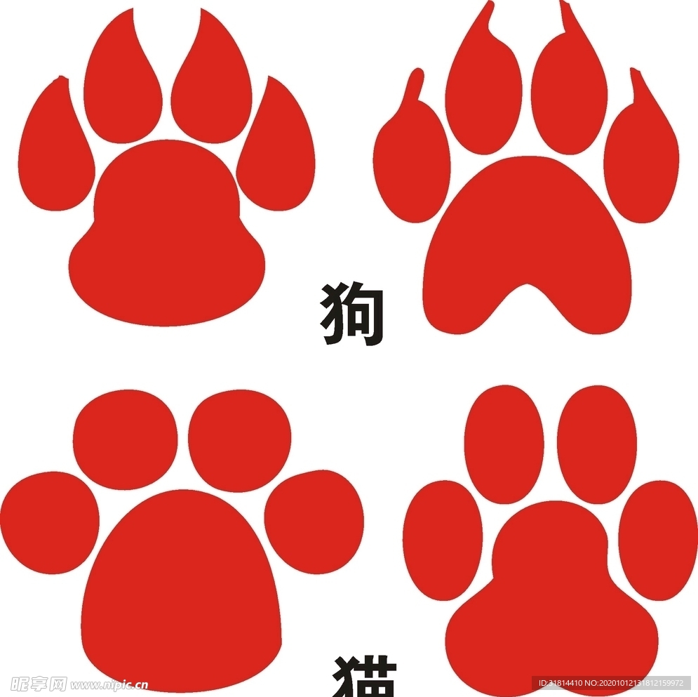 动物脚印