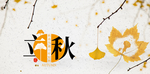 立秋