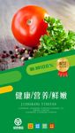 绿色蔬菜海报