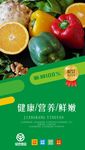绿色蔬菜海报