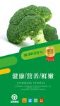 绿色蔬菜海报
