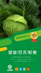 绿色蔬菜海报