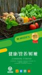绿色蔬菜海报