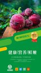 绿色蔬菜海报