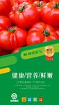 绿色蔬菜海报