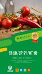 绿色蔬菜海报