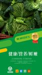 绿色蔬菜海报