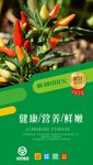 绿色蔬菜海报