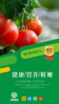 绿色蔬菜海报