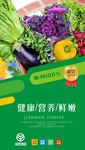 绿色蔬菜海报