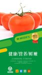 绿色蔬菜海报