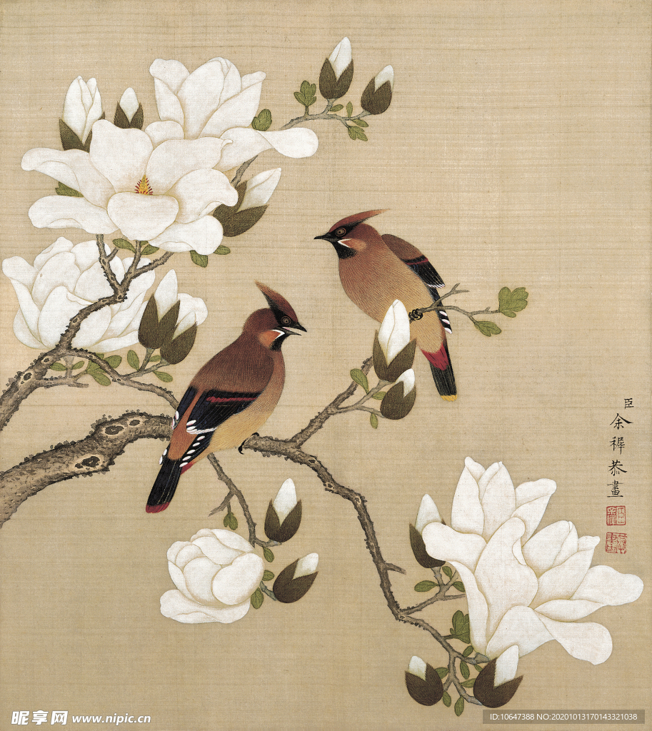 花鸟工笔画