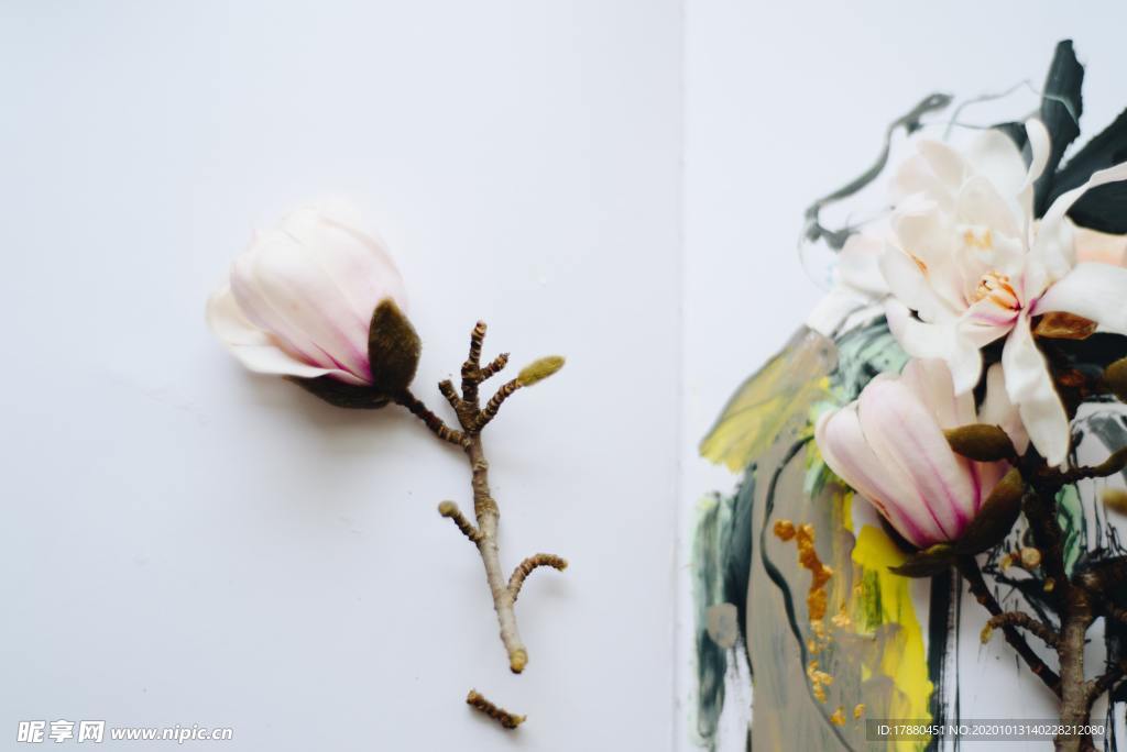 花蕾