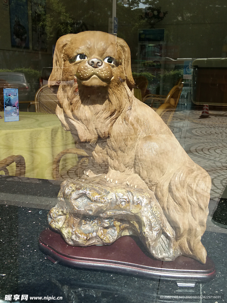 宠物狗