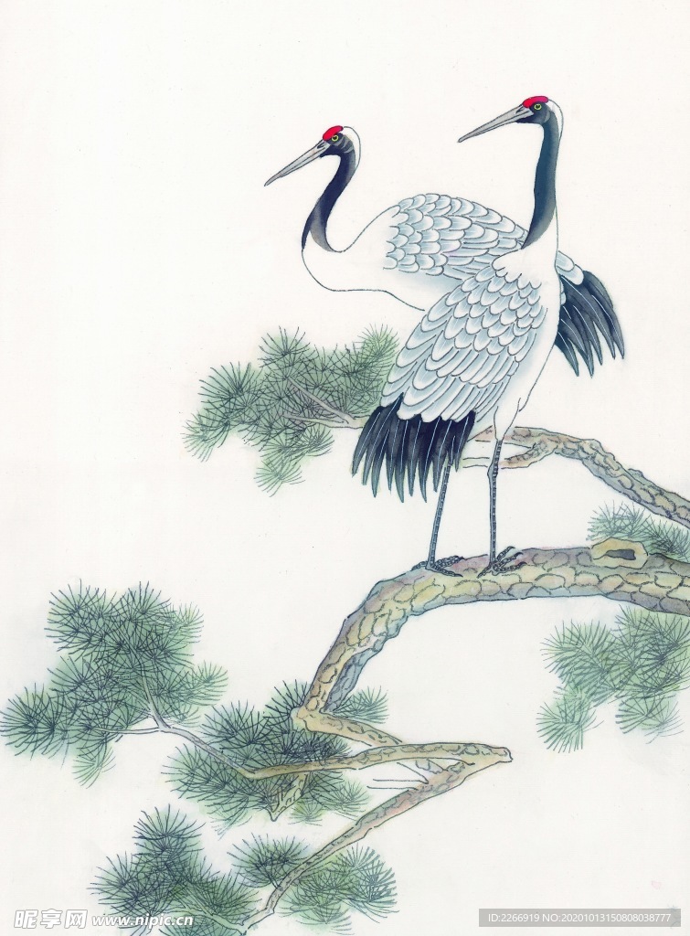吉祥鸟
