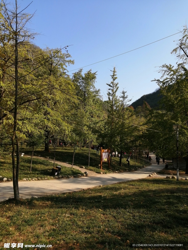 景区小路