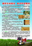 做好玉米降水  促进农民增收宣