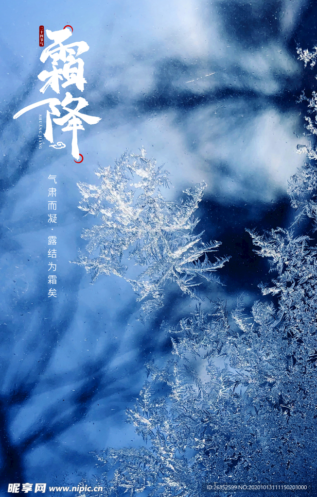 霜降节气海报