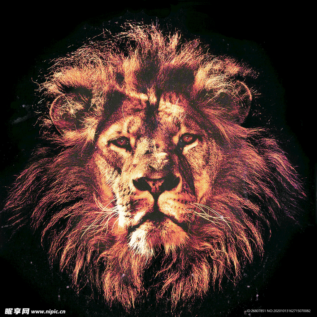狮子 狮子头