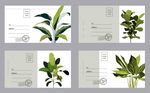 绿色植物明信片