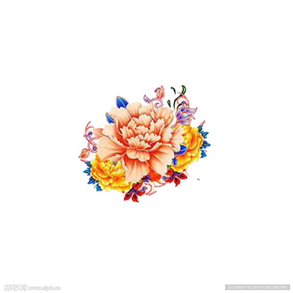 牡丹花