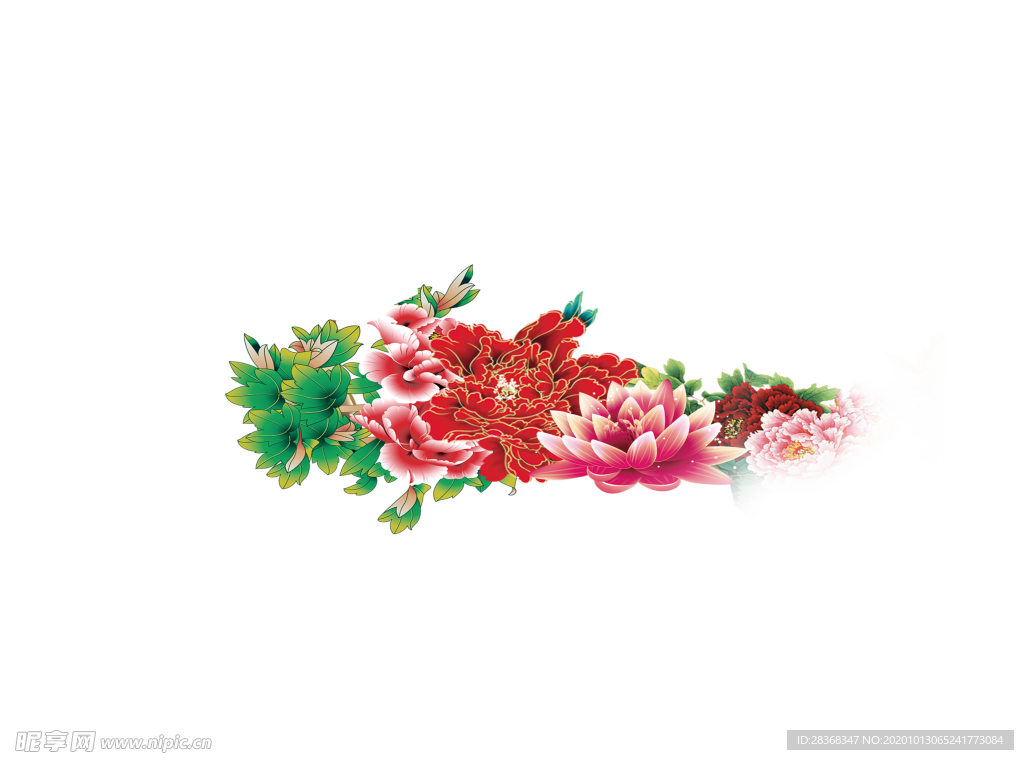 牡丹花