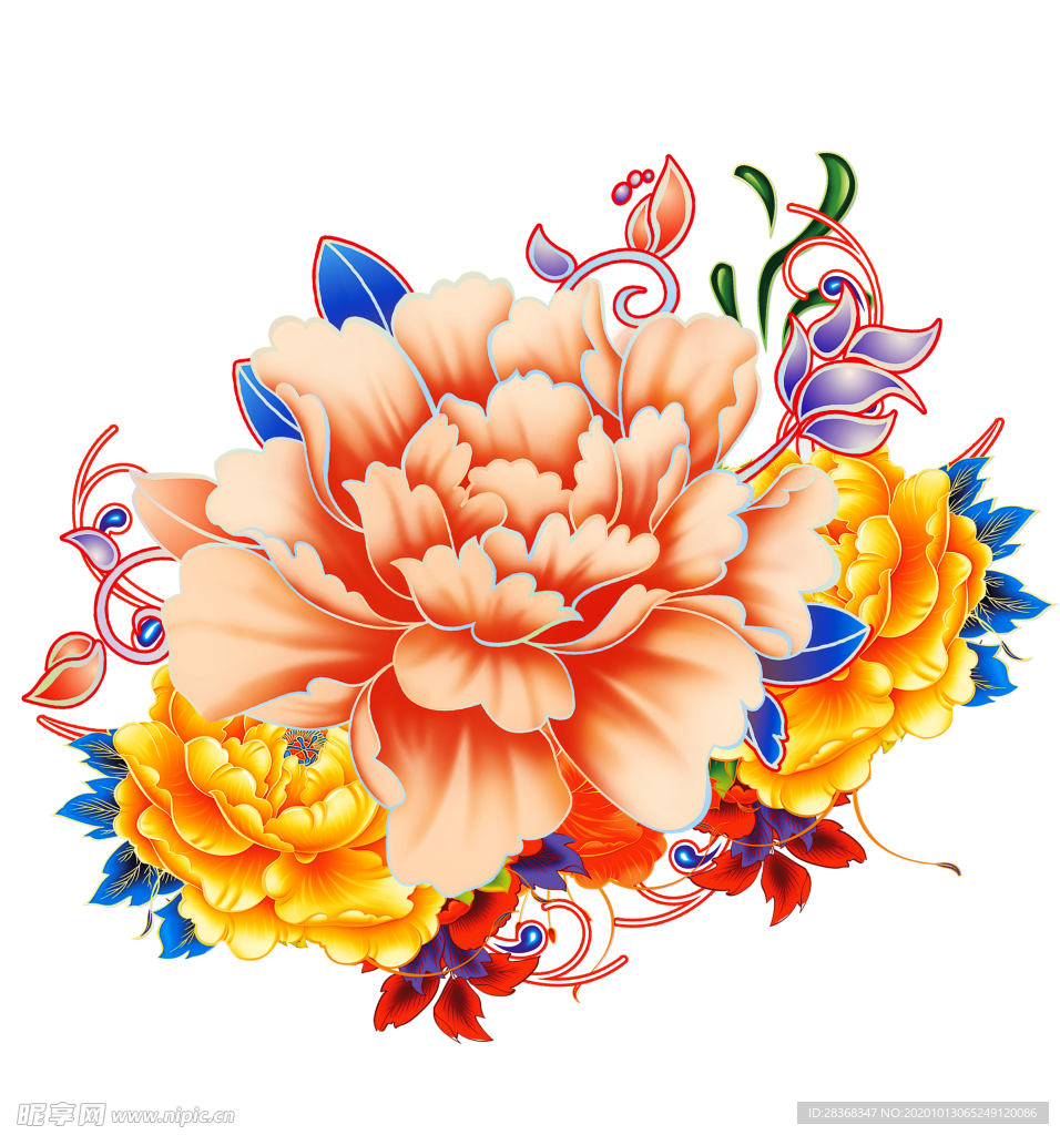 牡丹花
