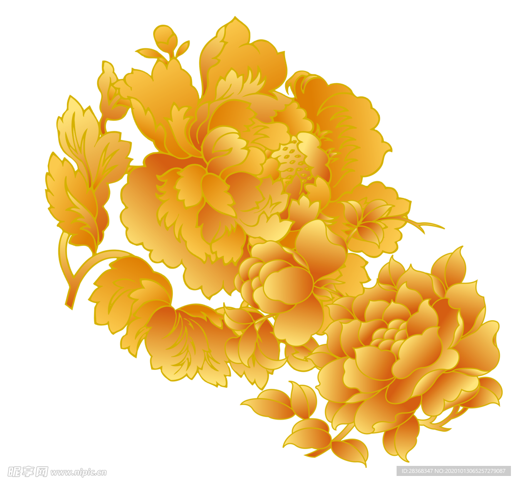 牡丹花