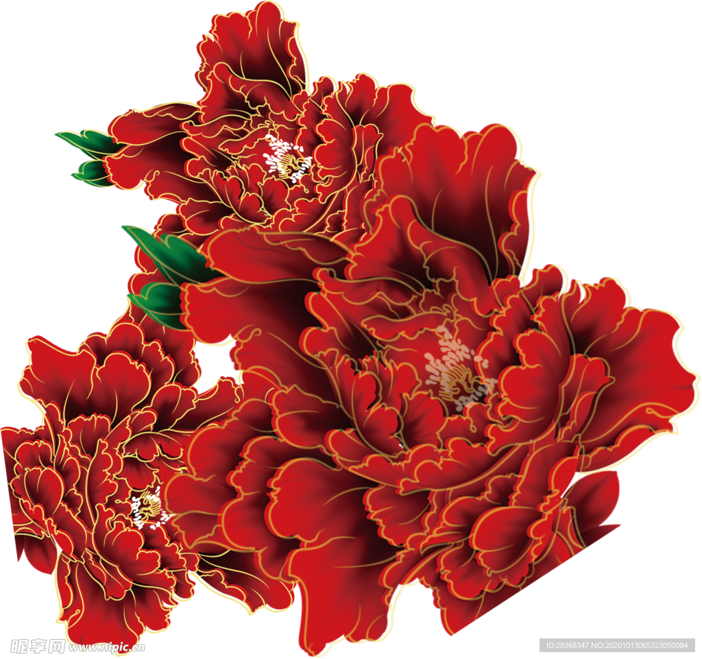 牡丹花