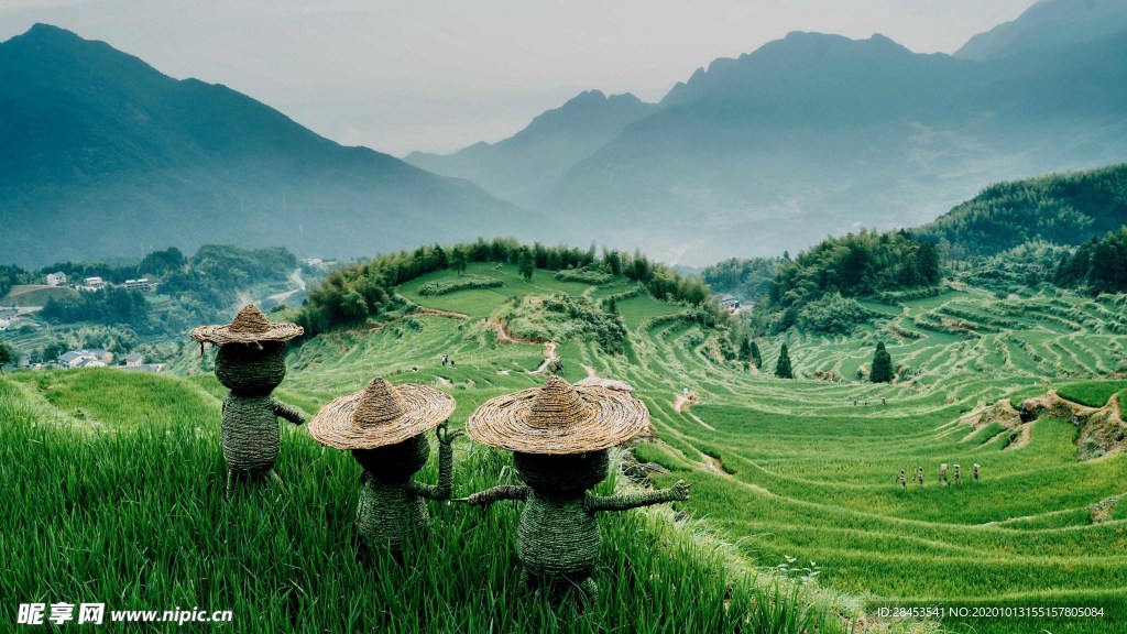 风景
