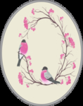 花鸟素材