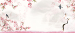 38妇女节