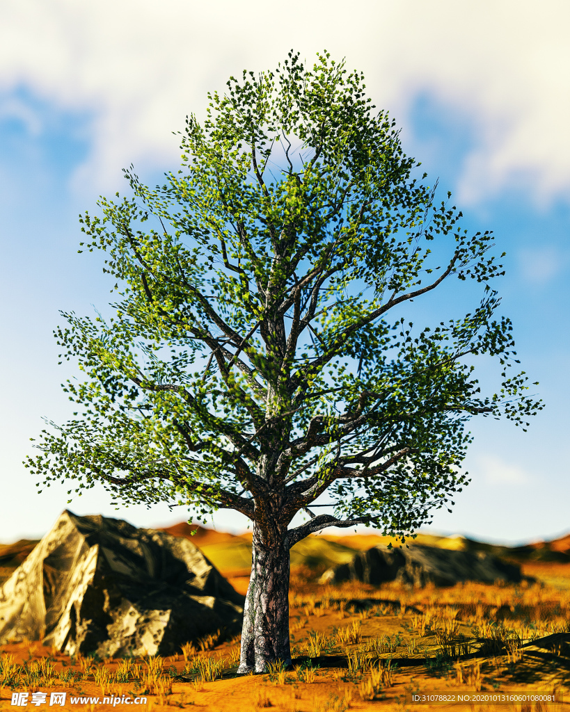 艺术特效科技图案