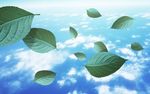 清新薄荷叶和天空图片素材
