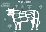 牛肉分割图