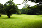 公园风景