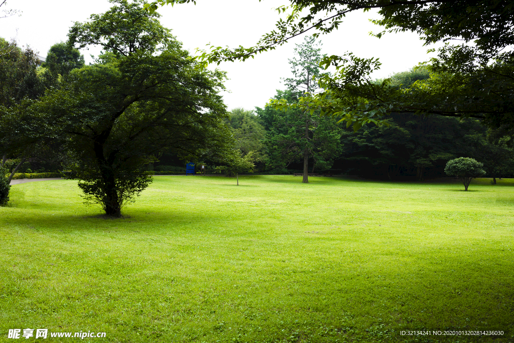 公园风景