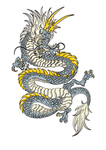 矢量腾龙插画