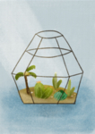 插画瓶子里的小植物