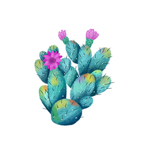 插画植物仙人掌扁平