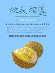 榴莲海报