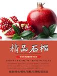 石榴海报