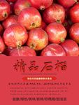 石榴海报
