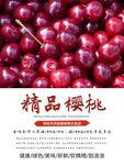 樱桃海报